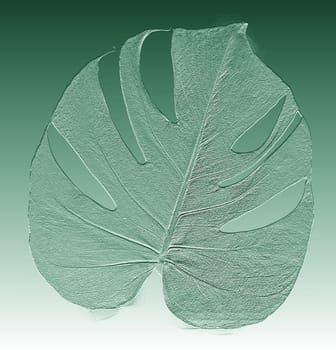 Abstract rough grained background with the texture of a green tropical palm leaf