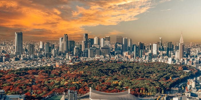 Golden hour Tokyo background with autumn foliage in the foreground