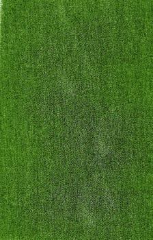 The textile background is green with a rough surface and light spots