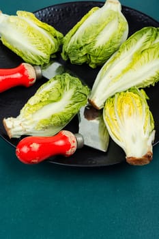 Green Romaine lettuce hearts. Fresh Romaine or cos lettuce