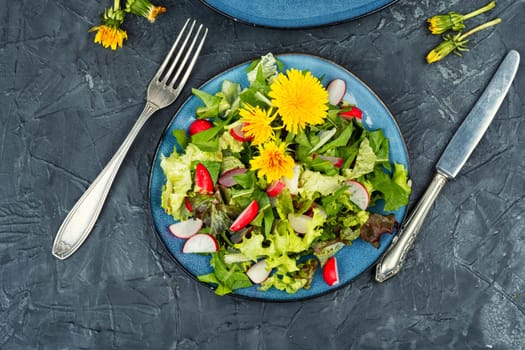 Spring salad of greens, radishes and dandelions. Top view.