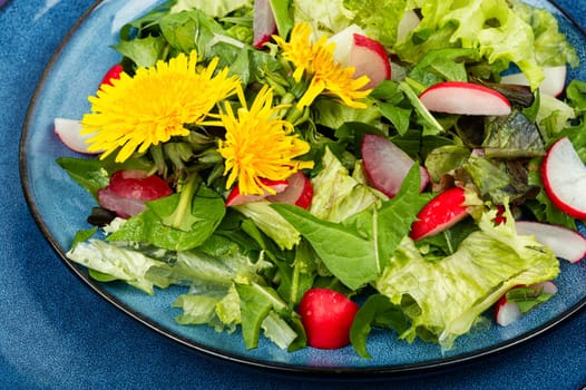 Healthy salad of greens, radishes and dandelions. Raw food diet