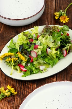 Healthy salad of greens, radishes and dandelions. Raw food diet