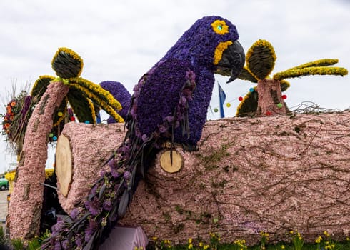 Noordwijk, Netherlands - April 22, 2023: Spectacular flower covered floats in the Bloemencorso Bollenstreek the annual spring flower parade from Noordwijk to Haarlem in the Netherlands.