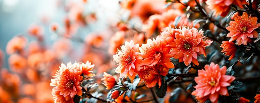 A close up of a bunch of orange flowers on the side