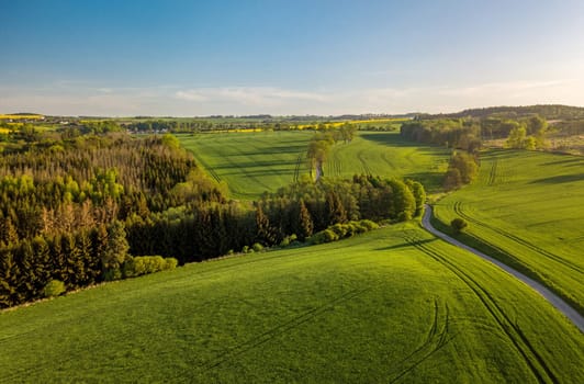 Drone flies over countryside with green wheat field. Hilly area with forest. Warm sunny spring day. Aerial view landscape. Beautiful rural landscape. Czech Republic