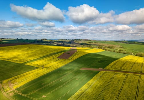 Top bird eye view of country road and yellow rapeseed field. Warm sunny spring day. Blooming canola field. Aerial view landscape. Beautiful yellow colored landscape with blue sky. Czech Republic