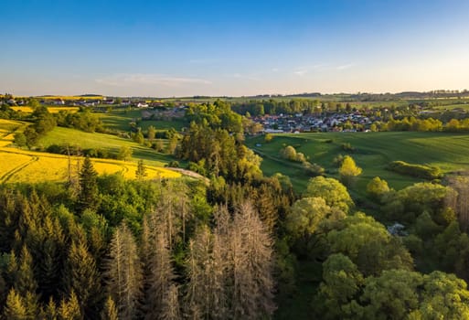 Drone flies over countryside with green wheat field. Hilly area with forest. Warm sunny spring day. Aerial view landscape. Beautiful rural landscape. Czech Republic