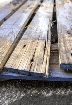 Detail of old abandoned pine wood boards
