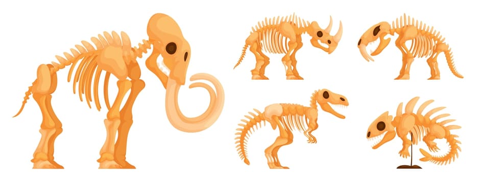 Set of dinosaur skeletons. Collection of skeletons of dinosaurs, mammoth, sabertooth, Ichthyostegalidae, rhinoceros and Trex, fossils, side view.