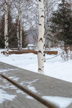 Snow in Winter in a Park with Benches and Trees. High quality photo