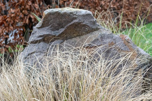Medium Grain Texture Stone Boulder. High quality photo