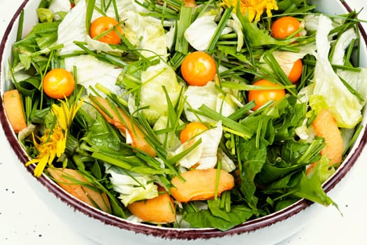 Simple and tasty dishes from wild plants. Healthy food concept. Vitamin salad. Flat lay