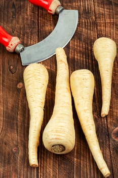 Uncooked useful whole parsnips roots on the kitchen table. Top view.