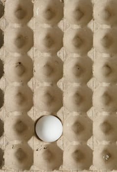 Single egg in the cardboard box - top viewpoint, vertical shot