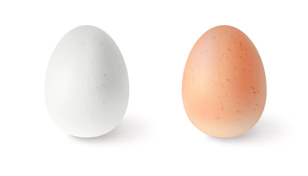 Set of realistic chicken eggs. Vector illustration isolated on white