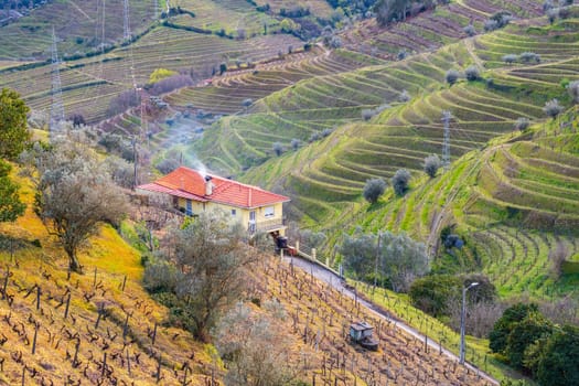 View of the Douro valley with the vineyards of the terraced fields and houses. Photographed in spring, Portugal