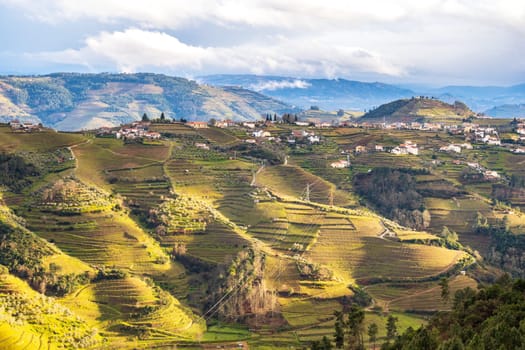 View of the Douro valley with the vineyards of the terraced fields. Photographed in spring, Portugal