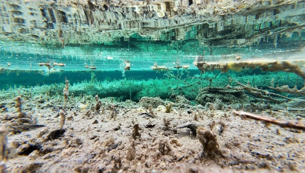 Underwater shot of a bog lake with turquoise water and creepy rotten tree trunks