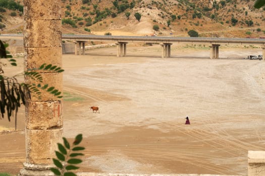 View from the Severan, Cendere onto the plain behind it, a local woman ist following her cow, close to Adiyaman, Turkey 2022