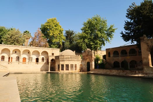 The green Balikligöl Pool or Pool of Abraham with the Halil Ul Rahman Camii, Mosque in the background, Sanliurfa, Turkey 2022
