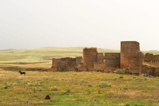 Walls and towers of the city wall of the ancient site of Ani, an abandoned ruined armenian city, close to Kars, Turkey 2022