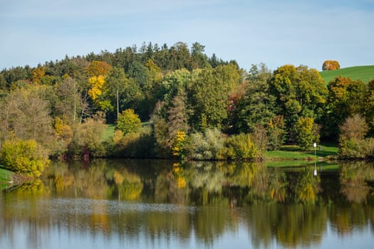Lake forest in autumn colours landscape