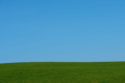 Green meadwo with blue sky scenery