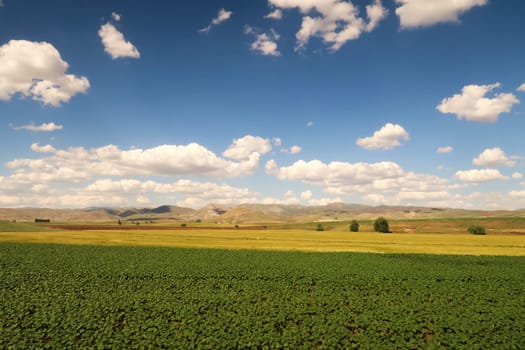 Spectacular landscpae seen on the train ride in the Eastern Express, Dogu Ekspresi from Kars to Ankara, yellow and green fields in front of mountains, clouds on a blue sky are throwing shadows, Turkey 2022