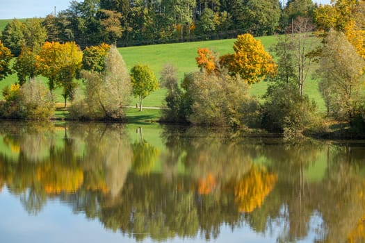 Lake meadow and trees in autumn colours landscape