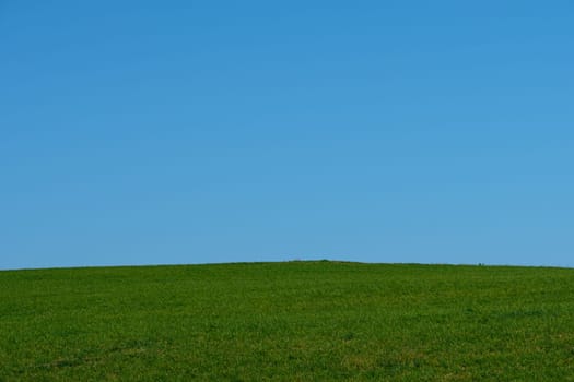 Green meadow with blus sky landscape scenery