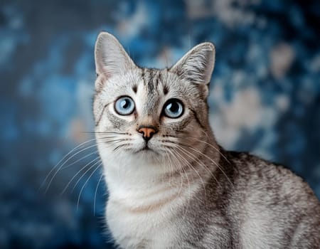 Close-up cat portrait against futuristic blue background