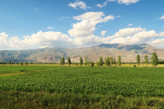 Spectacular landscpae seen on the train ride in the Eastern Express, Dogu Ekspresi from Kars to Ankara, green fields in front of mountains, clouds on a blue sky are throwing shadows, Turkey 2022