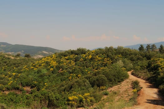 Beautiful landscape close to the House of Virgin Mary, Selcuk, Turkey 2022