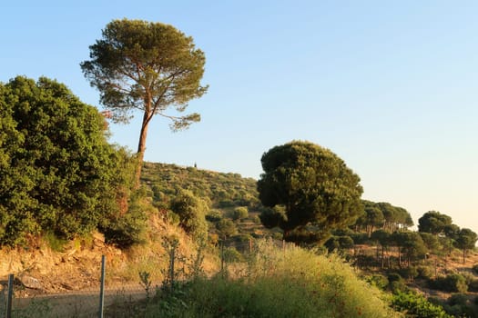 Landscape on the way to Ephesus in the early morning, Selcuk, Turkey 2022