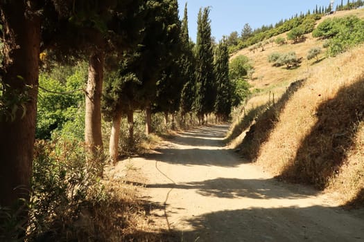 Beautiful alley avenue leading up a hill next to Sirince, Izmir, Turkey 2022