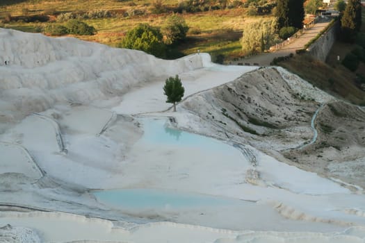 The entrance area at the lower gate to the travertines of Pamukkale early in the morning with a single tree in the middle, Denizli, Turkey 2022
