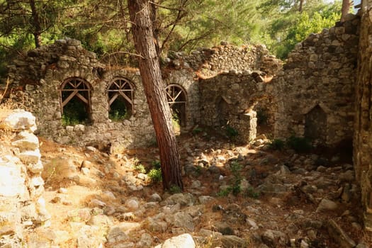 The ruins of a bath house at the ancient site of Olympos, Olympus with a tree growing inside, close to Antalya, Turkey 2022