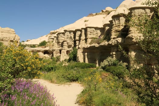 The vegetation in a gorge of the famous Pigeon Valley, Güvercinlik Vadisi between Göreme and Uchisar, Cappadocia, Turkey 2022