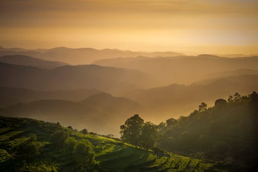 Sunset valley view with terraced fields of Serra de Monchique near mount Foia in the Algarve region in Portugal. Beauty in nature.