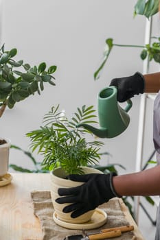 Spring hobby happy young woman transplanting in flower pot houseplant with dirt or soil at home. Gardening plant and green tropical