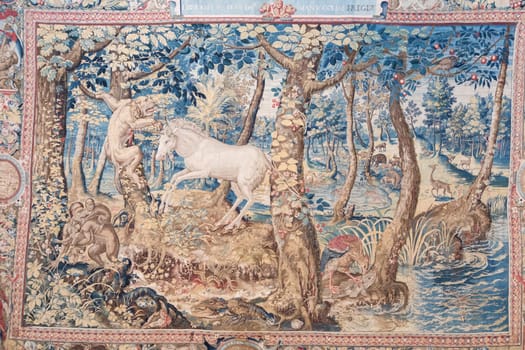 Isola Bella, Italy - 1 August 2023: detail of antique Italian tapestry in Borromeo Palace. Ancient decoration on indoor walls, fantasy creature
