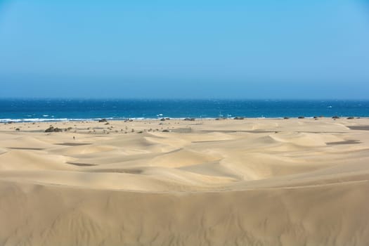 Sandy beach and dunes of Maspalomas on Gran Canaria in Spain. View of the sea, with blue sky. The huge sand dunes resemble a small desert and are a nature reserve.,Sandy beach and dunes of Maspalomas on Gran Canaria in Spain. View of the sea, with blue sky. The huge sand dunes resemble a small desert and are a nature reserve.