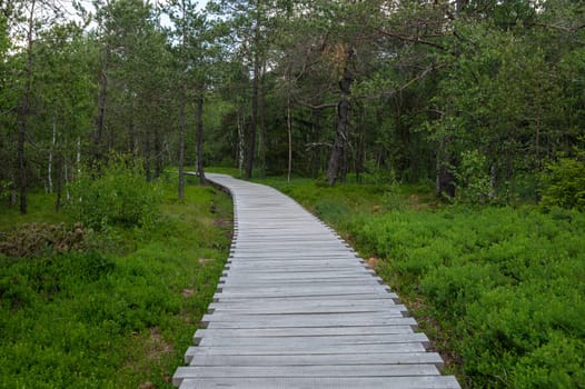 Black Moor in the Rhoen, Bavaria, Germany, with a new wooden path