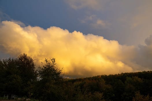 Big yellow cloud in the sky in the evening sun over a green forest