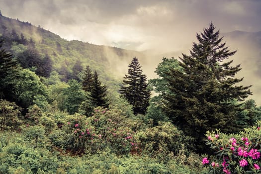 Panoramic view of the Smokie Mountains from Blue Ridge Parkway near Maggie Valley, North Carolina