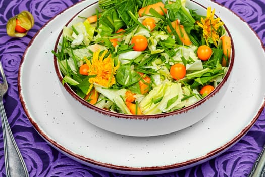 Spring salad with wild edible herbs, lettuce and physalis on rustic wooden table.