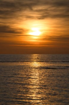 Sunset, seagull in the sky. Light waves. Sparkling water. Poel island on the Baltic Sea. Nature photo from the coast