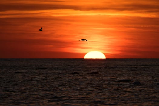 Sunset on the horizon of the Baltic Sea. Romantic evening atmosphere by the sea. Orange sun sinks into the water. Landscape photo