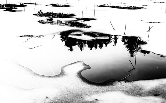 Digital Illustration Black and White Frozen Pond